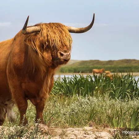 Bungalowpark 't Hoogelandt