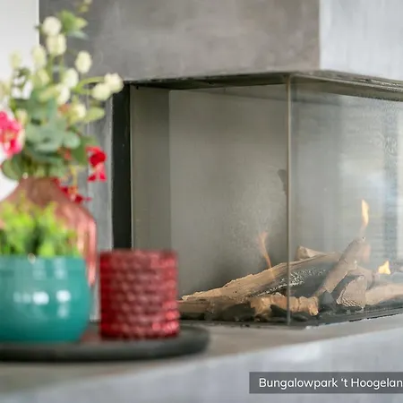 Bungalowpark 't Hoogelandt פארק נופש דה קוח